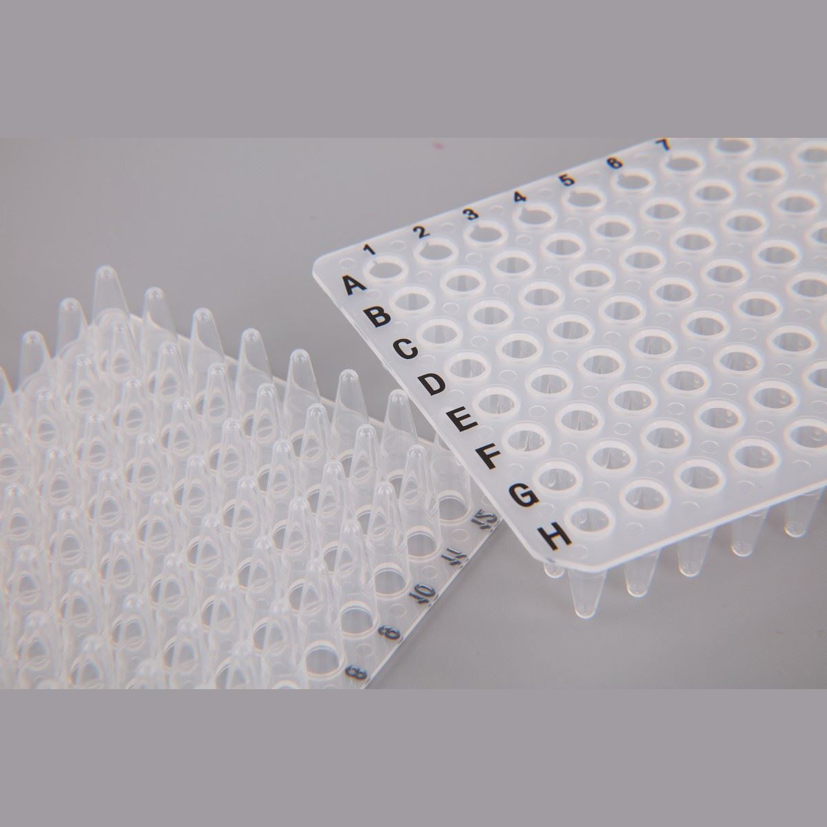 202102241044415d48e1359acd490596f3927a455a637f